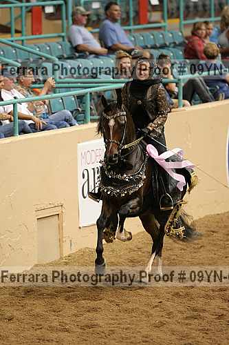 Proof 09yn-02299