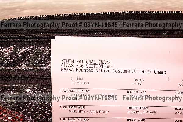 Proof 09yn-18849