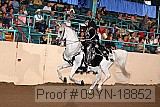 09yn-18852 proof