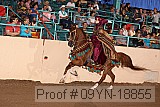 09yn-18855 proof