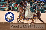 09yn-18862 proof