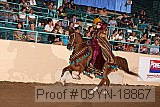 09yn-18867 proof