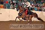 09yn-18873 proof