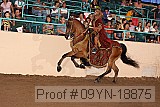 09yn-18875 proof