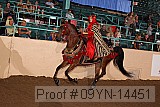 09yn-14451 proof
