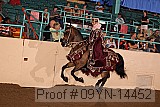 09yn-14452 proof