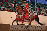 09yn-14457 proof