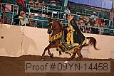 09yn-14458 proof
