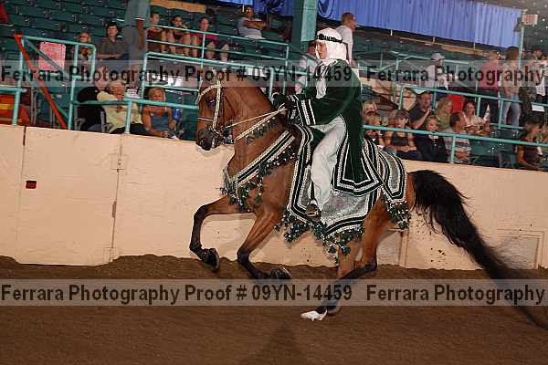 Proof 09yn-14459