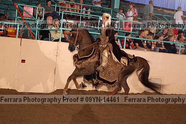 Proof 09yn-14461