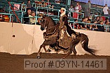 09yn-14461 proof