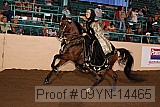 09yn-14465 proof