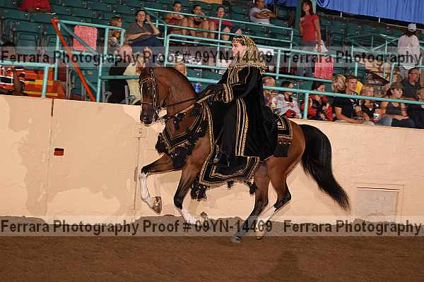 Proof 09yn-14469