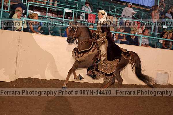 Proof 09yn-14470