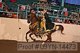 09yn-14473 proof