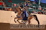 09yn-14479 proof