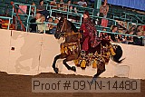 09yn-14480 proof