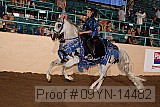 09yn-14482 proof