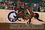 09yn-14484 proof