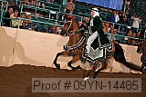 09yn-14485 proof