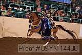 09yn-14486 proof