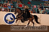 09yn-14487 proof
