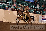09yn-14488 proof