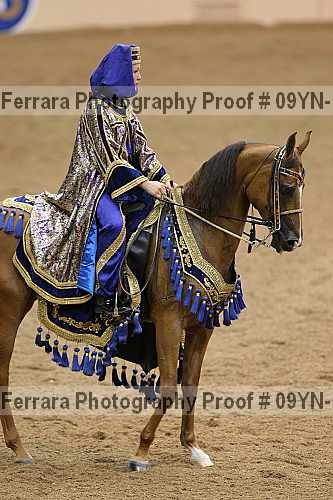 Proof 09yn-14502
