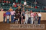 09yn-14542 proof