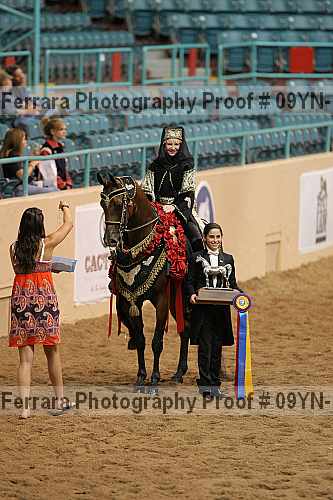 Proof 09yn-14549