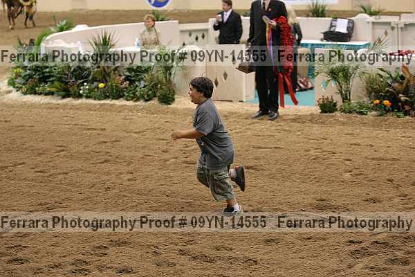 Proof 09yn-14555