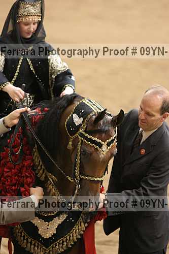 Proof 09yn-14570