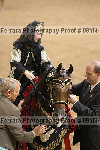 Proof 09yn-14571