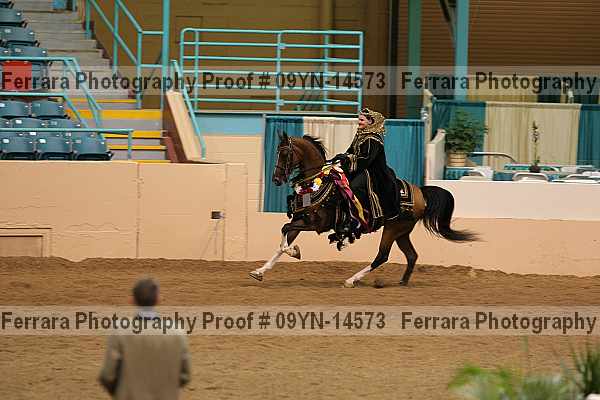 Proof 09yn-14573