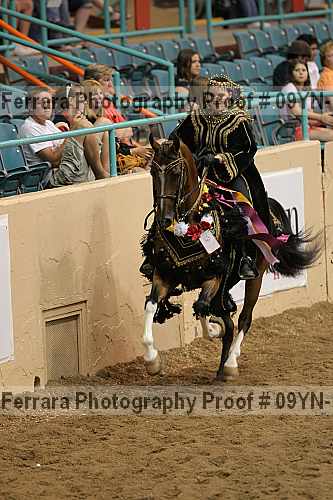 Proof 09yn-14579