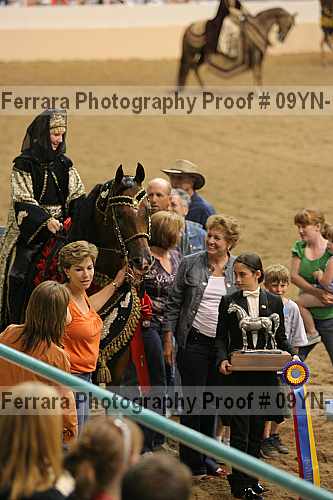 Proof 09yn-14584
