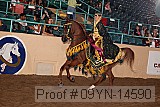 09yn-14590 proof