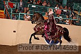09yn-14593 proof