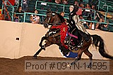 09yn-14595 proof