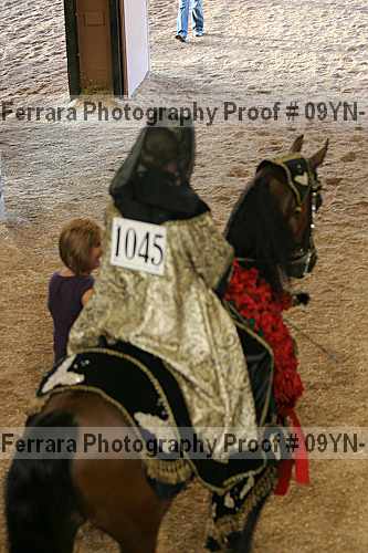 Proof 09yn-14596