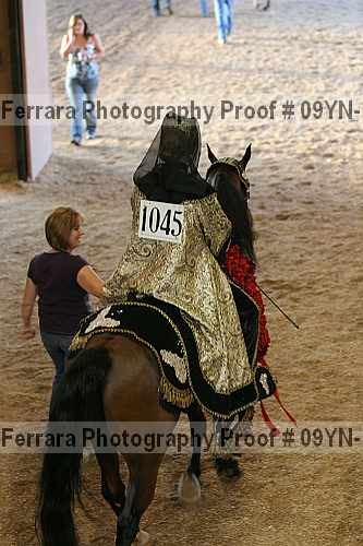 Proof 09yn-14597