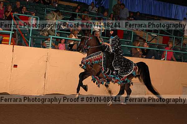 Proof 09yn-08244