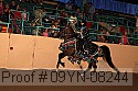 09yn-08244 proof