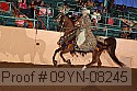 09yn-08245 proof
