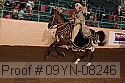 09yn-08246 proof