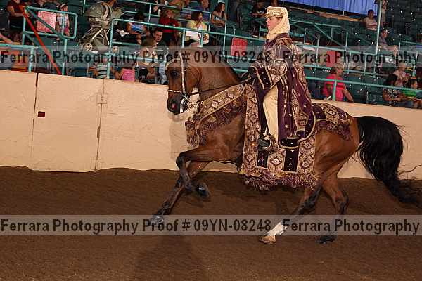 Proof 09yn-08248