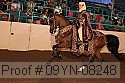 09yn-08248 proof