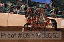 09yn-08253 proof