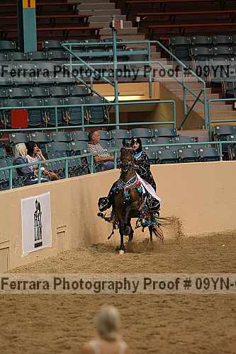 Proof 09yn-08273