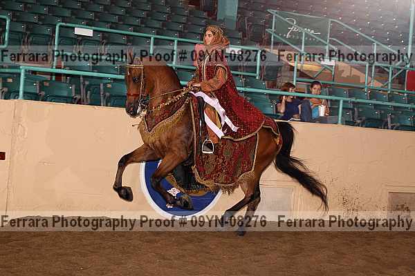 Proof 09yn-08276